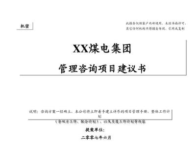 XX战略建议书